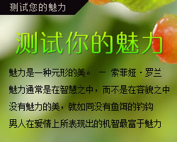 魅力測試