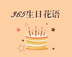 365天生日花語查詢