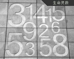 生命數字