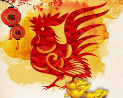 2017年雞年運勢
