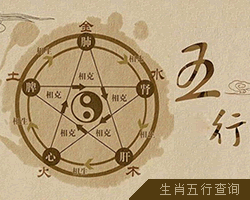 生肖五行查詢