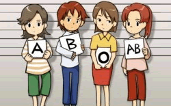 血型與性格測試